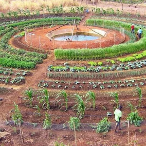 Imagem do curso Curso de Produção Orgânica de Frutas e Hortaliças