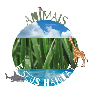 Imagem principal do produto Cards Animais