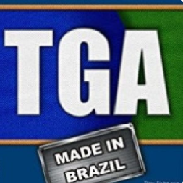 Imagem do curso Palestra - TGA Made in Brazil