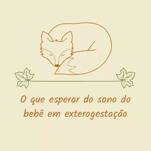 Imagem de capa para o Ebook O que esperar do sono do bebê em exterogestação