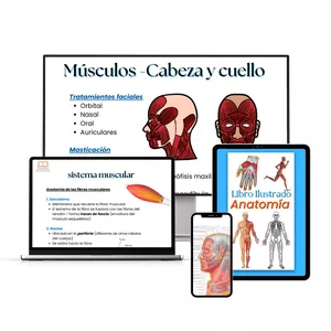 Imagen de portada para Curso online Libro Ilustrado Anatomía