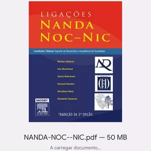 Imagem de capa para o Ebook Nanda-Nic-Noc 