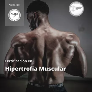 Imagen de portada para Curso online Hipertrofia muscular