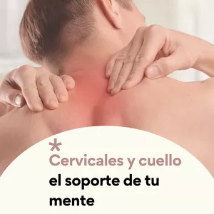 Imagen de portada para Curso online Cervicales y cuello, el soporte de tu mente