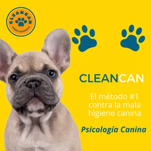 Imagen de portada para Ebook CleanCan