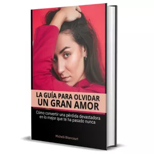 Imagen de portada para Ebook LÁ GUÍA PARA OLVIDAR UN GRAN AMOR