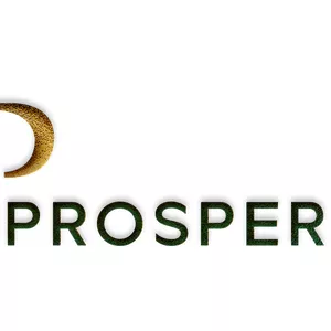 Imagem de capa para o Curso online Prosperus PRO