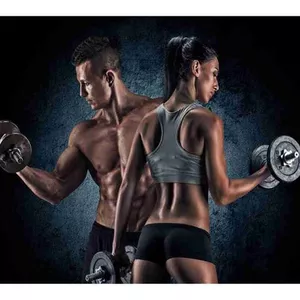 Imagem de capa para o Curso online Projeto Maromba