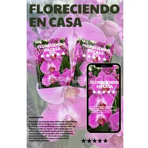 Imagen de portada para Ebook Floreciendo en Casa 