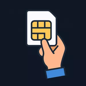 Imagen de portada para Curso online e-Sim