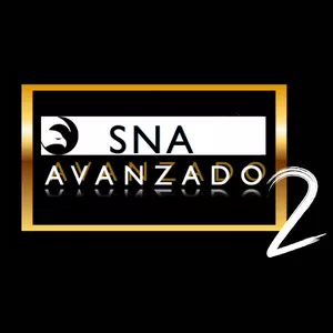 Imagen de portada para Curso online  SNA AVANZADO 2 - 2025/2026