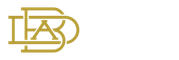 Brand Designer Academy