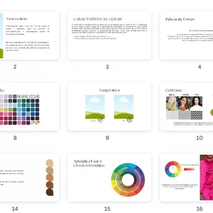 Imagem de capa para o Curso online Dossiê Editável das 12 Estações | Para Consultoras de Imagem