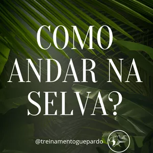 Imagem de capa para o Ebook Como Andar na Selva 