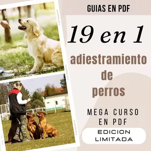 Imagen de portada para Ebook Adiestramiento canino 