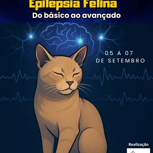 Imagem de capa para o Evento online Epilepsia Felina: do básico ao avançado.