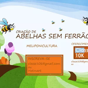 Imagem principal do produto Criação de Abelha sem Ferrão - Meliponicultura - Classe 10K