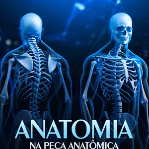 Imagem de capa para o Curso online ANATOMIA NA PEÇA ANATÔMICA