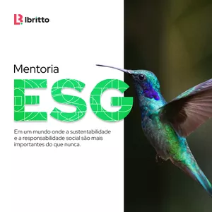Imagem do curso Mentoria ESG - Lbritto