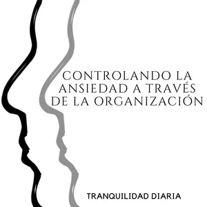 Imagen de portada para Ebook Controlando la ansiedad a través de la Organización