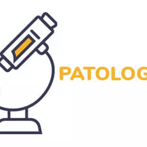 Imagem de capa para o Ebook Introdução à Patologia - Resumo Dinâmico