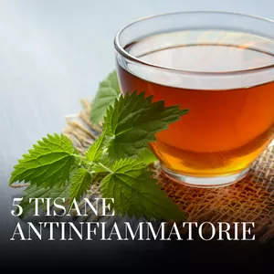 Cover image for Online course 5 tisane antinfiammatorie