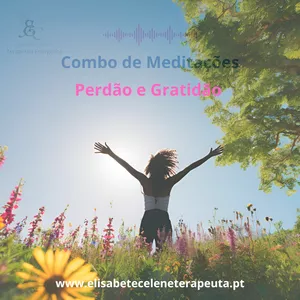 Imagem de capa para o Curso online Combo de meditações - Perdão e Gratidão