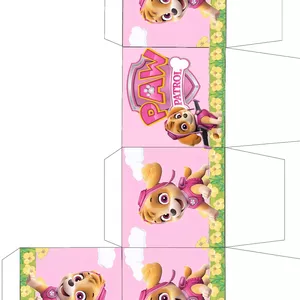 Imagen de portada para Curso online pak cajas patrulla canina skay 