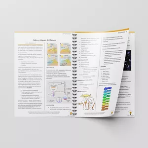 Imagen de portada para Ebook Apunte Antropologia - Pregrado Barceló 2024