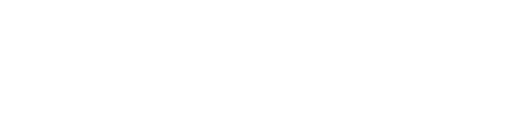 The Advanced Np Academy logo