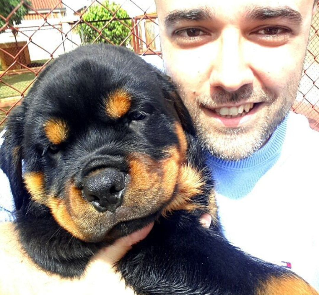 Imagem do curso Curso de Adestramento : COMO ESCOLHER O FILHOTE IDEAL PARA GUARDA - por Rovian Ramos