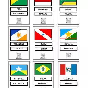 Imagem de capa para o Ebook Bandeiras do Brasil