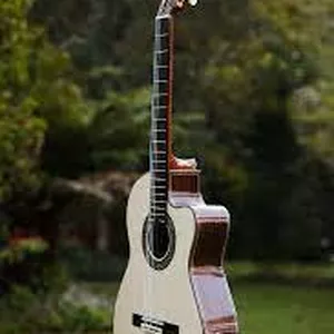 Imagem do curso CURSO VIOLÃO MÓDULO I 