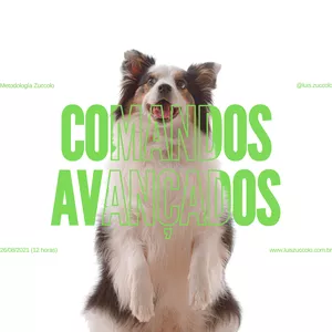 Imagem do curso (03º CURSO ONLINE) MÓDULO COMANDOS AVANÇADOS 