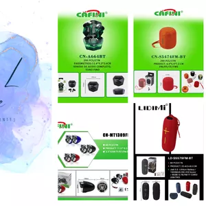 Imagen de portada para Curso online Parlantes cafini