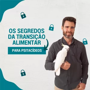Imagem de capa para o Curso online Os segredos da transição alimentar em psitacídeos