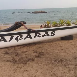Imagem de capa para o Curso online Pranta rara