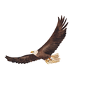 Astro Patchouli Online School  logo