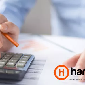 Imagem de capa para o Curso online Pricing - Planilha de Gestão de Preços