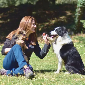 Imagen de portada para Curso online Educa a tu perro paso a paso: 7 videos prácticos