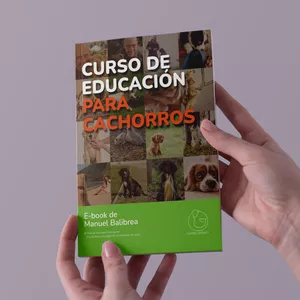 Imagen de portada para Ebook Curso de Educación para Cachorros (ebook)
