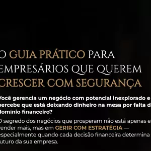 Planilha Organização Financeira da Empresa - Série Completa