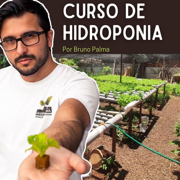 Curso de Hidroponia