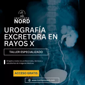 Imagen de portada para Curso online Certificado de Participación