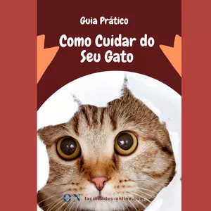 Imagem do curso Como Cuidar do Seu Gato