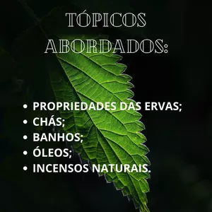 Imagem de capa para o Ebook Magia com Ervas