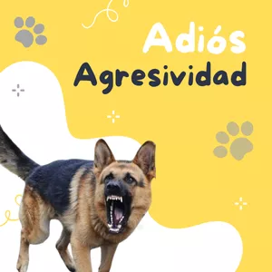 Imagen de portada para Ebook Adiós agresividad