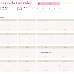 Imagem de capa para o Ebook Calendário da Gravidez - Menina