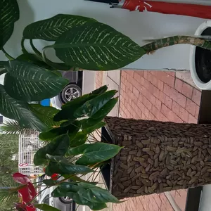 Imagen de portada para Curso online Fondos para calendario 