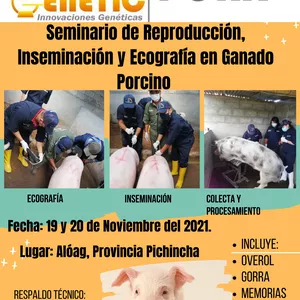 Imagem principal do produto Curso presencial de Reproducción, Inseminación y Ecografía en ganado Porcino 